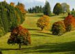 Herbstlandschaft im Thüringer Wald mit bunten Bäumen, ideal für einen Aufenthalt in der Pension Zum Glasmacher