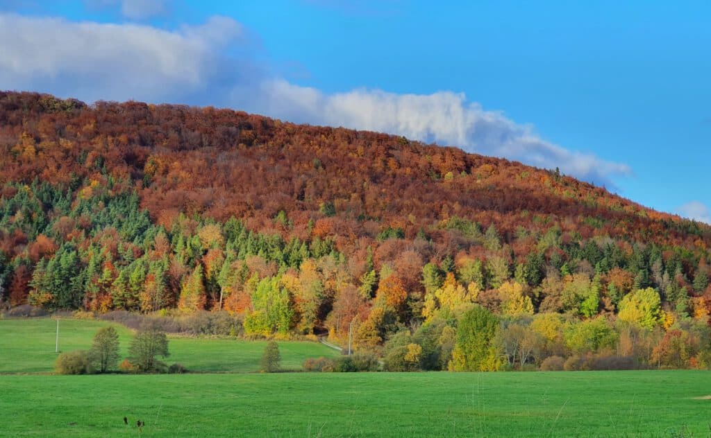 Herbsturlaub im Thüringer Wald – 7 schöne Erlebnisse rund um Gehlberg