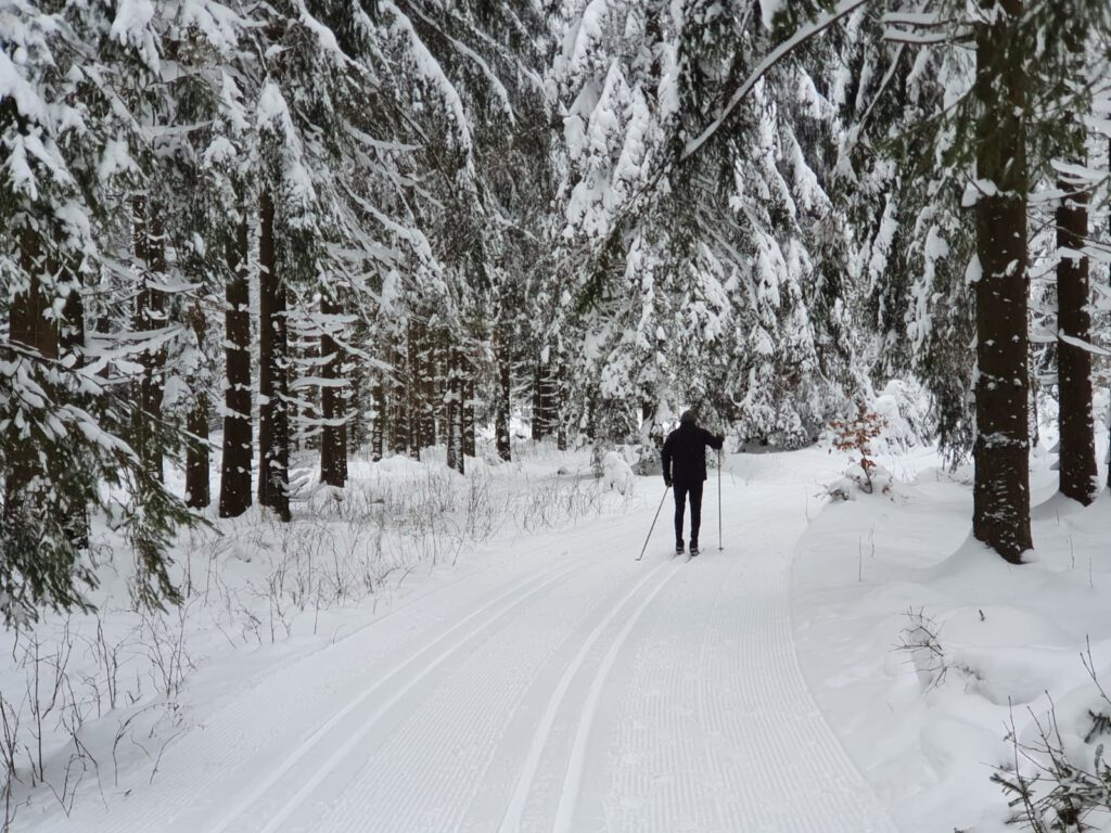Winterwanderung auf einem verschneiten Waldweg bei Gehlberg