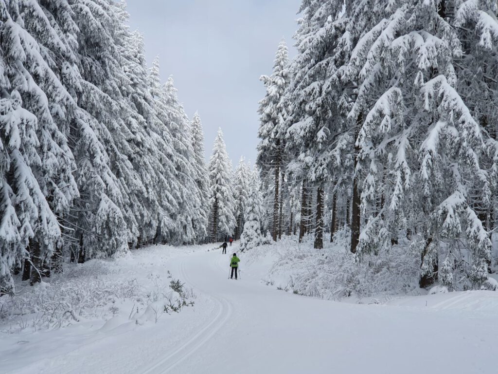 Winterwandern im Thüringer Wald bei Gehlberg durch verschneiten Wald