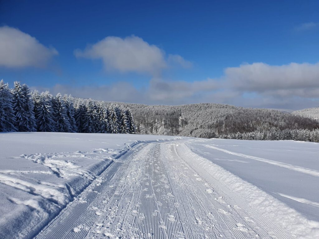 Winterwandern im Thüringer Wald