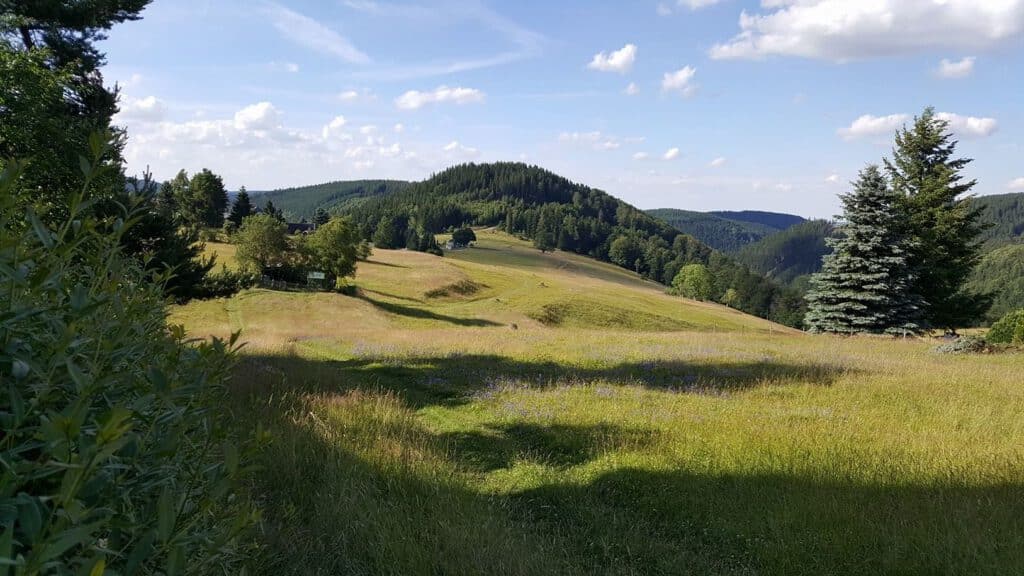 Kurzurlaub im Thüringer Wald